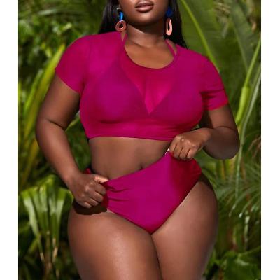 China Plus size designer swimwear for women ninos ninas traje de bano plus size swimwear bikini for fat women for sale