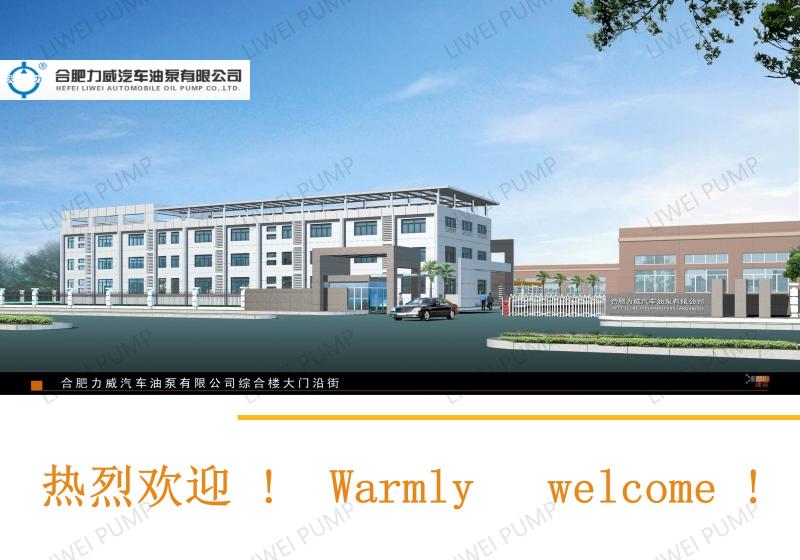 Fornitore cinese verificato - Hefei Liwei Automobile Oil Pump Co., Ltd