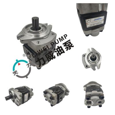 China Tweerichtings de Hydraulische Pomp91e71-10200 ODM van de Toestelvorkheftruck Te koop