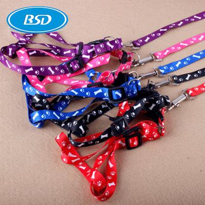 Cina Popular Recycled Pet Collar Recycled Pet webbing with Adjustable Buckle Pet Collar for Dog in vendita