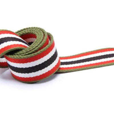 Cina OEM ODM high saleLow Price special colorful dog leash polyester cotton logo webbing in vendita