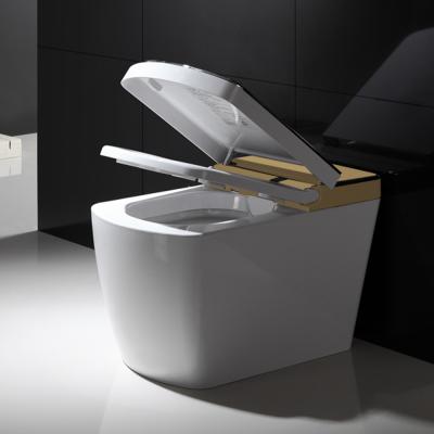 China Golden Electric Smart Bidet Auto Operation Smart WC WC Toilet With Voice Function for sale