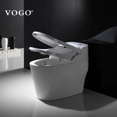 China Woman Intelligent Electronic Bidet Automatic Operation Toilet Dry Toilet for sale