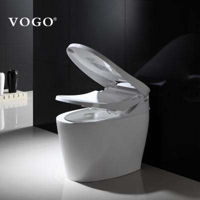 China Modern Tankless Wc Intelligent Toilet Bowl Electronic Bidet for sale