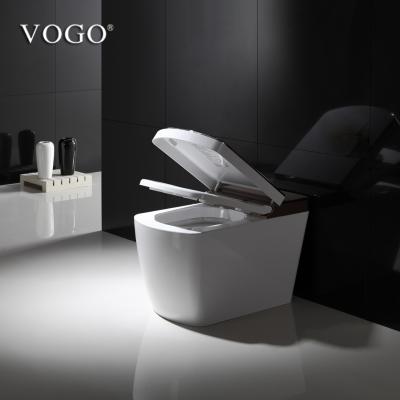 China Smart Automatic Operation VOGO One-Piece Intelligent Electronic Bidet Toilet Warm Toilet Seat Cover SL610 for sale