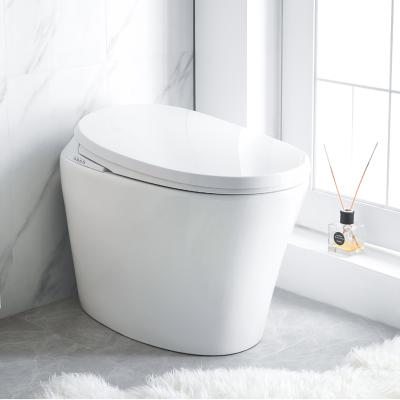 China Automatic Operation R500 VIP Ceramic One Piece Top Smart Toilet for sale