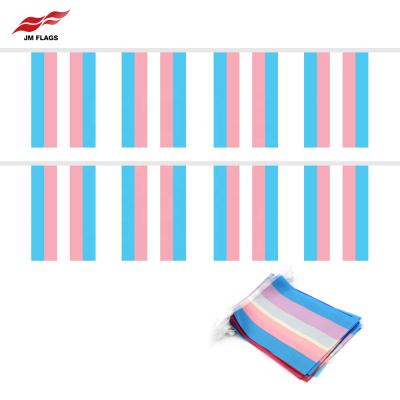 China Events Forbid Transgender Wholesale String Flags Party Events Decoration Polyester LGBT Pennant Rainbow Transgender Pennants for sale