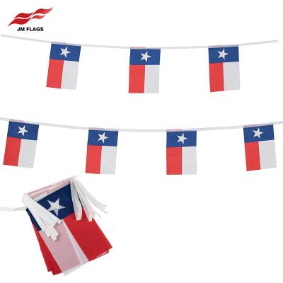 China Wholesale Pennant 8.2*5.5 Inch Texas String Flags Banner Events Decoration Polyester Non Fade Non Fade 9.8 Ft Texas String Flags for sale