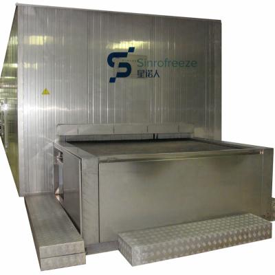 China Factory high quality 1000kg/h IQF tunnel deep freezer for seafood processing for sale