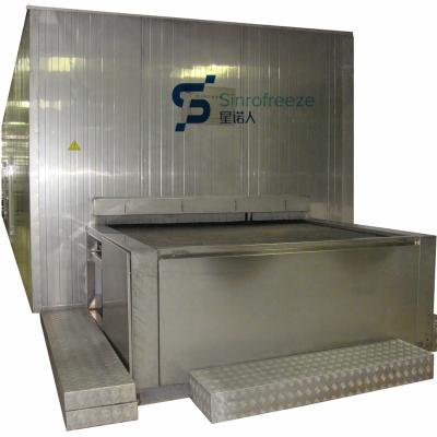 China food & Beverage Factory Impact Tunnel Freezer IQF / Block Freezing for sale