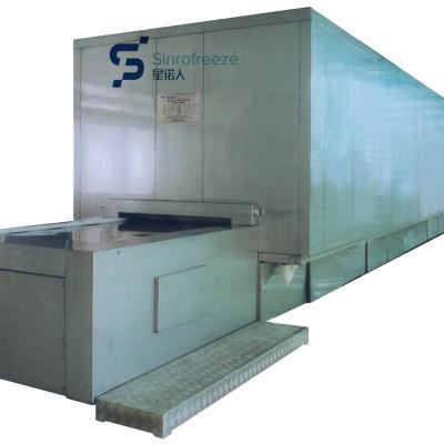 China food & Beverage Factory Impact Tunnel Freezer IQF / Block Freezing for sale