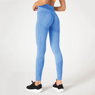 China Factory price high quality breathable leggings activewear women for gym for sale