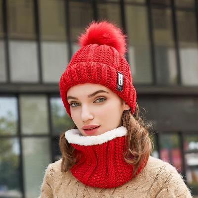 China COMMON Wholesale Winter Knitted Beanie Hat Winter Hats Customized Warm For Women for sale