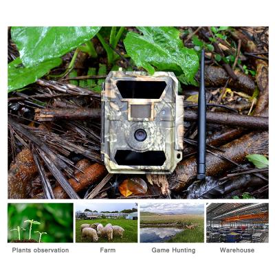 China Best Selling Weather-Resistant 3G Wireless Trail Surveillance Wild Hunting Kamera for sale