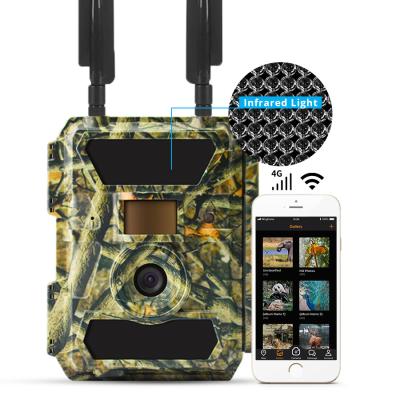 China 24MP 1080P Crystal Clear Night Vision 0.8secs Weather-resistant 52 Degrees Trigger Waterproof IP66 Wildkamera Hunting Trail Camera for sale