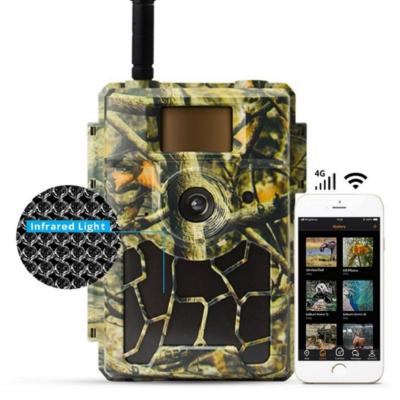 China New Arrival 2020 Cheap Camera 4G IP66 GPRS Waterproof Digital GSM Hidden 24MP Hunting Camera for sale