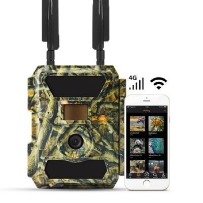 China WILLFINE Real Maker APP Control Game Digital Hunting Camera for Outdoor Surveillance Animal Wildlife Monitoring for sale