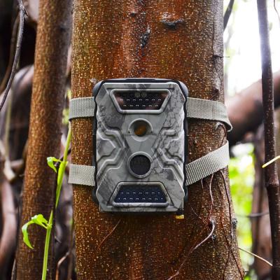 China 5/8/12 MP 720P 2.6 Series Video SMS/mms/gsm/GPRS/smtp Trail Camera for sale