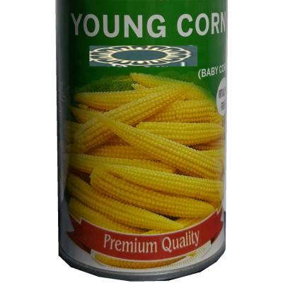 China 2021 Hot Sale Canned For People And Children Canned Baby Corn Young Corn Canned Vegetables for sale