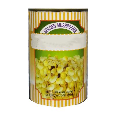 China China Good Quality Canned Mushroom Enoki Mushroom Natural Delicious Canned Mushroom Farm for sale