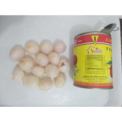 China New Canned Flavor Wholesale Quality Assurance Canned Fruit Canned Lychee Fruit for sale