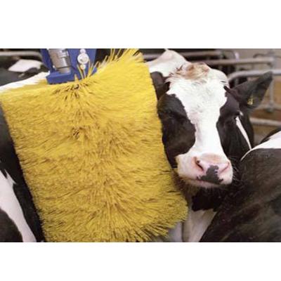 China High Quality Automatic Cattle Body Cow Cleaning Cattle Scratching Body Brush With Electric Motor for sale