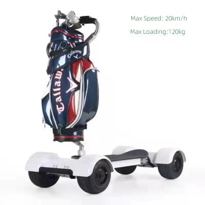 China Electric Skate Board Cart Unisex Golf Cart Scooter Golf Cart for sale