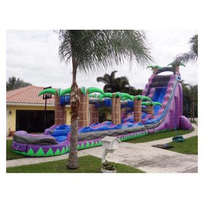 China Rental or home use cheap inflatable slide, inflatable slide for sale, 30 ft tall purple inflatable water slide Paradise for sale for sale