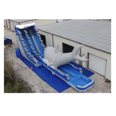 China Rental or home use JAWS! Adult Inflatable Water Slide 26ft Double Inflatable Shark Water Slide Lane Slide With Pool for sale