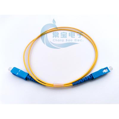 China FTTH 2*4 2*8 2*16 2*32 Sc APC LC UPC 2.0mm Sx Fiber Optic Patch Cord Pigtails Cable for sale