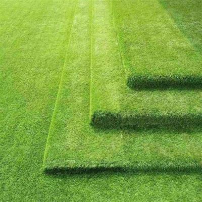 China PP+PE Synthetic Grass For Garden Grass Mat Cheap Artificial Landscape for sale