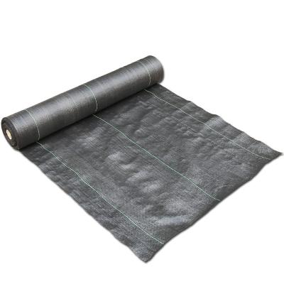 China Anti UV PP Woven Agriculture Geotextile Weed Control Mat Polyethylene Plastic Sheet WCM01 for sale