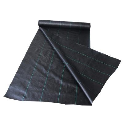 China 3 feet wide Weed Control Mat Fabric for USA market waterproof tarpaulin covers grass cover net WCM01 for sale