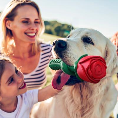 China Exclusive Viable Strip Dog Chew Toys Rose Shape Teeth Cleaning Toys Heavy Duty Bite Teeth Clean Dog Toy for sale