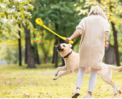 China New Arrival Durable Plastic Stocked Dog Training Toys Tennis Ball Thrower Dog Ball Launcher for sale