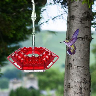 China Viable Amazon Newcomer Acrylic Hummingbird Driver Outdoor Window Bird Feeder Humming Bird Feeder for sale