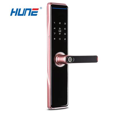 China 250 2021 New Product Door Handle Fingerprint Smart Digital Electronic Door Locks for sale