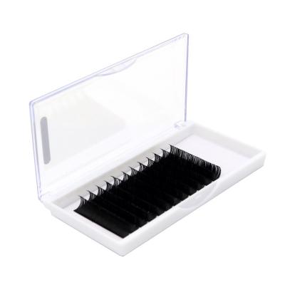 China Eyelash Extensions Grafted Special Factory Recommended Matte Eyelashes Natural Eyelashes For Grafting False Eyelash Stuffed Spot Ends Wholesale for sale