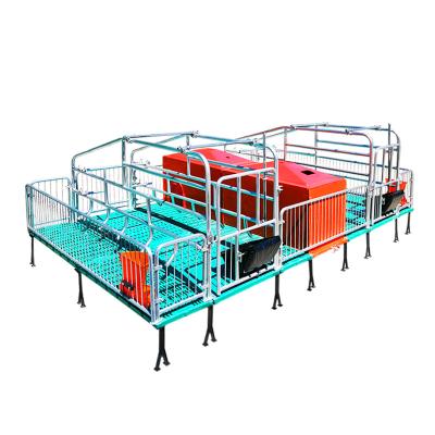 China Low Cost Farrowing Crate Pig Farm Plastic Slatted Pig Floor Livestock Equipment for sale