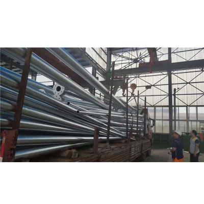 China Garden Factory Customized Single Arm Road Pole Galvanized 9m Road Pole for sale