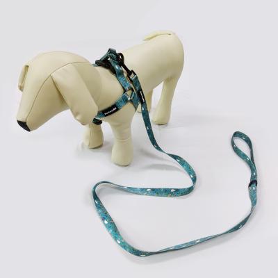 China Custom Printing Quick Release Polyester Fabric Straps Made Adjustable Dog Harness Leash Set With Metal Hook for sale