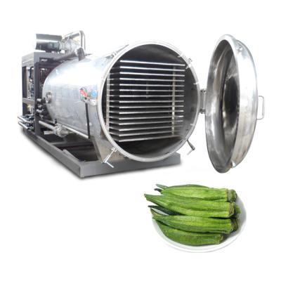 China High Quality Vegetable Food Processing Food Okra Vacuum Freeze Dryer Freeze Dryer Machine for sale