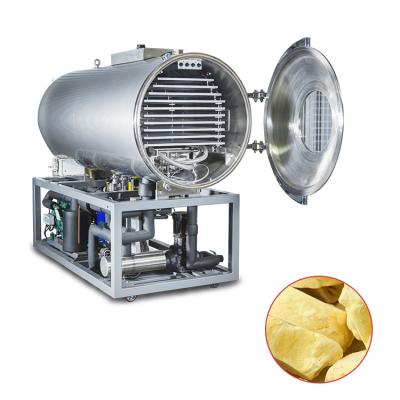 China High Quality Food Processing Durian Freeze Vacuum Dryer Fruit Freeze Dryer With Aluminum Trays Freeze Dryer Freeze Dryer Machine for sale