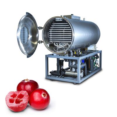 China Food Processing Cranberry Freeze Vacuum Dryer Factory Supply Drying Machine Directly for sale