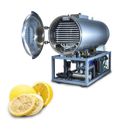 China Food Processing Supply Small Type Medium Type Large Type Stainless Steel Lemon Freeze Vacuum Dryer for sale