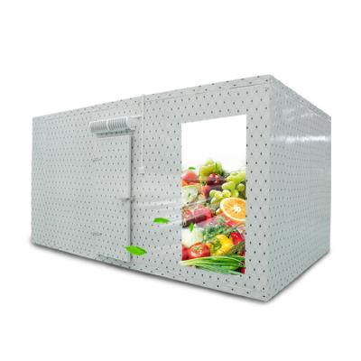 China Solar Best Price Energy Saving Cold Storage Room For Fish for sale