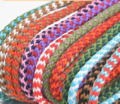 China Durable Braided Color Pet Round Rope Traction Rope Polyester Clothing Accessories Reflective Nylon Like Low Core Elastic Silk Rope for sale