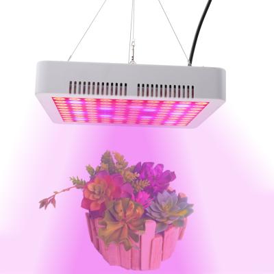 China Seed starting wholesale full spectrum flower veg plant high parity 300W led grow light for sale