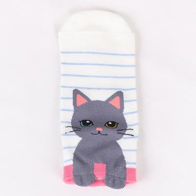 China QUICK DRY Cotton Girl Socks 3d Animal Cat Socks For Women for sale