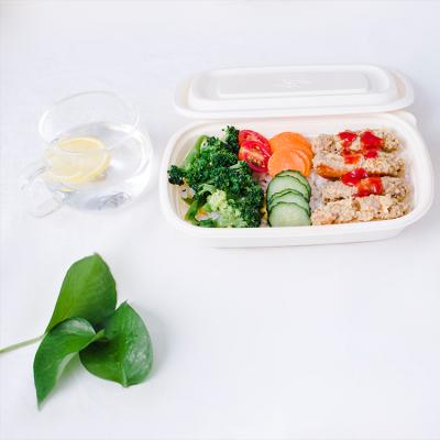 China Children's Packaging Box Food For Lunch Kids 5 Compartment Leakproof Boxes for sale